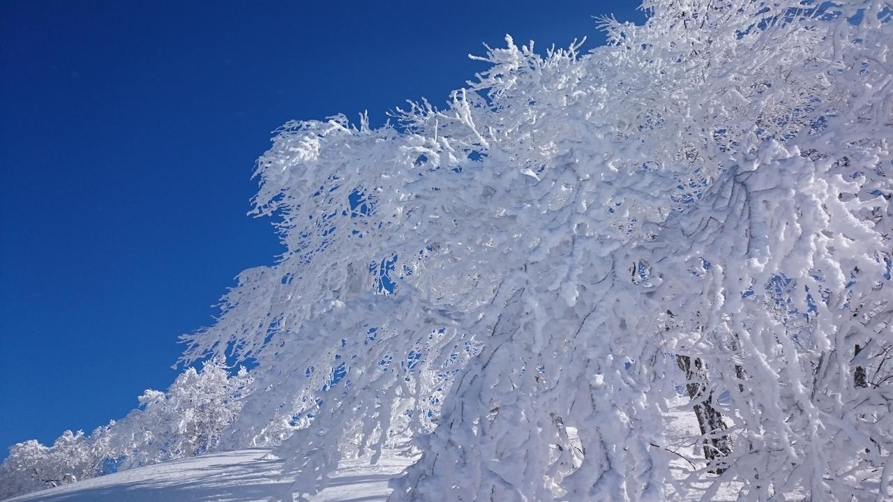 Nozawa Dream Hotel Exterior foto