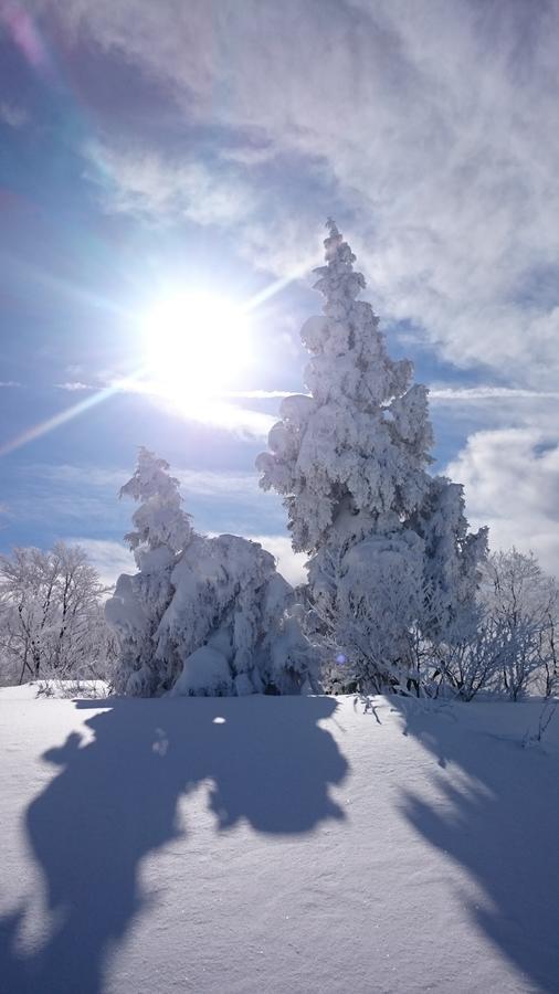 Nozawa Dream Hotel Exterior foto